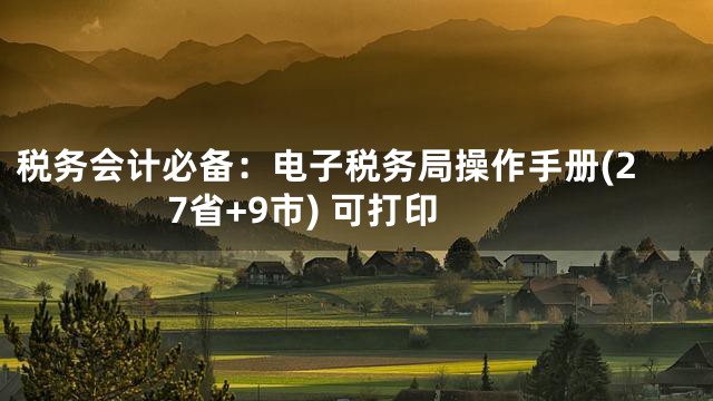 税务会计必备：电子税务局操作手册(27省+9市) 可打印