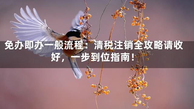 免办即办一般流程：清税注销全攻略请收好，一步到位指南！
