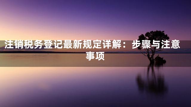 注销税务登记最新规定详解：步骤与注意事项
