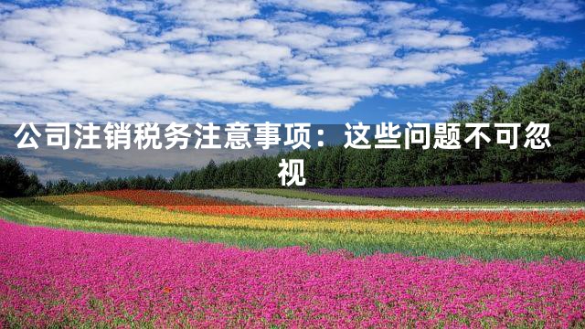 公司注销税务注意事项：这些问题不可忽视