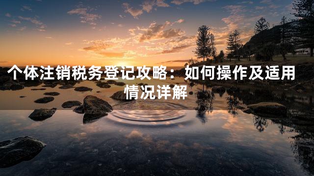 个体注销税务登记攻略：如何操作及适用情况详解