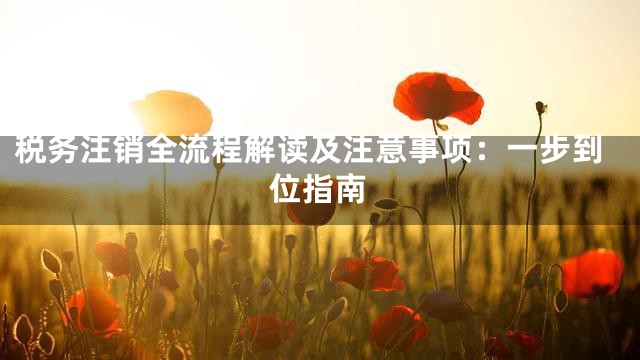 税务注销全流程解读及注意事项：一步到位指南