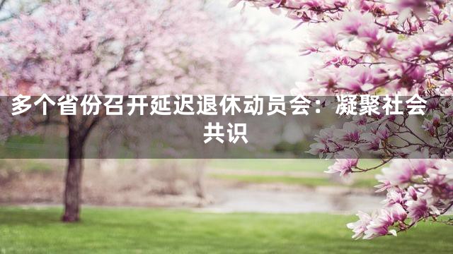 多个省份召开延迟退休动员会：凝聚社会共识