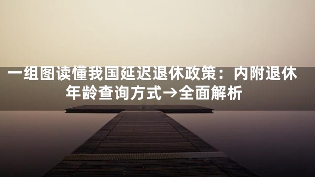 一组图读懂我国延迟退休政策：内附退休年龄查询方式→全面解析