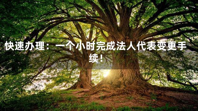 快速办理：一个小时完成法人代表变更手续！
