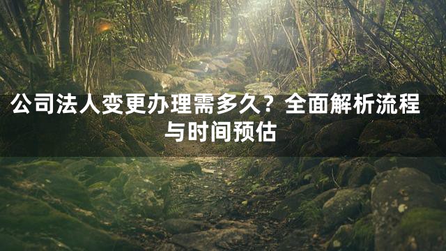 公司法人变更办理需多久？全面解析流程与时间预估