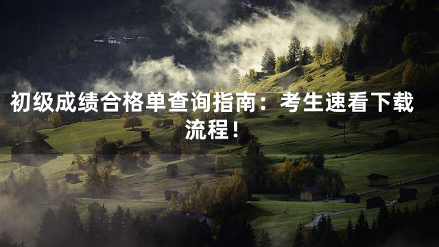 初级成绩合格单查询指南：考生速看下载流程！