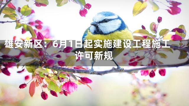 雄安新区：6月1日起实施建设工程施工许可新规