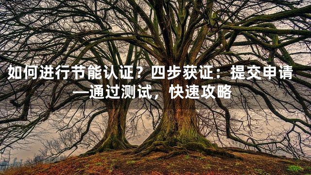 如何进行节能认证？四步获证：提交申请—通过测试，快速攻略