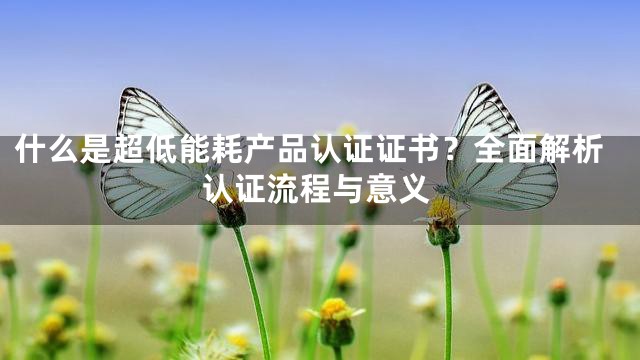 什么是超低能耗产品认证证书？全面解析认证流程与意义