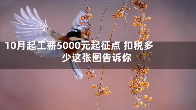 10月起工薪5000元起征点 扣税多少这张图告诉你