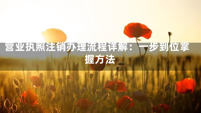 营业执照注销办理流程详解：一步到位掌握方法
