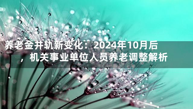 养老金并轨新变化：2024年10月后，机关事业单位人员养老调整解析