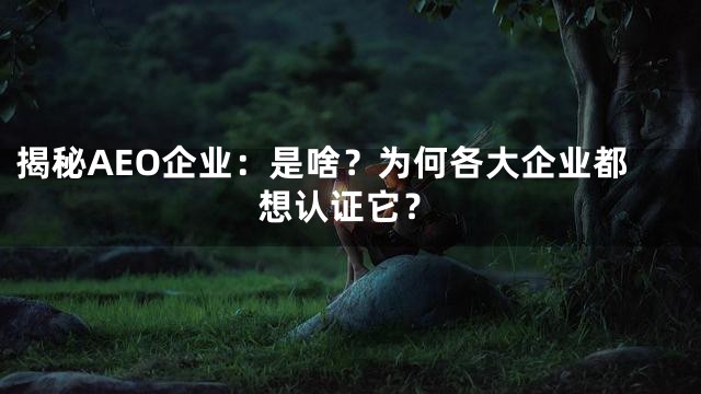 揭秘AEO企业：是啥？为何各大企业都想认证它？