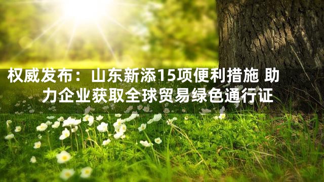 权威发布：山东新添15项便利措施 助力企业获取全球贸易绿色通行证