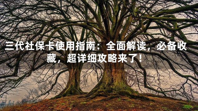 三代社保卡使用指南：全面解读，必备收藏，超详细攻略来了！