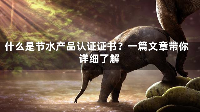 什么是节水产品认证证书？一篇文章带你详细了解