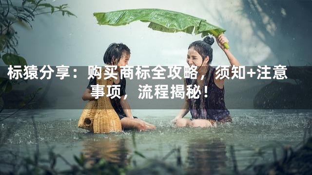 标猿分享：购买商标全攻略，须知+注意事项，流程揭秘！
