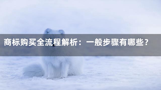 商标购买全流程解析：一般步骤有哪些？