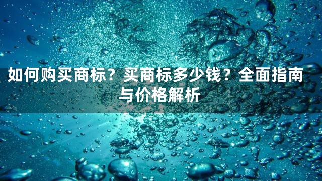 如何购买商标？买商标多少钱？全面指南与价格解析
