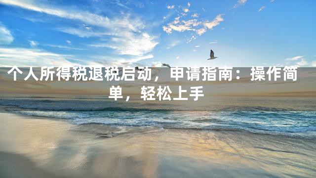 个人所得税退税启动，申请指南：操作简单，轻松上手