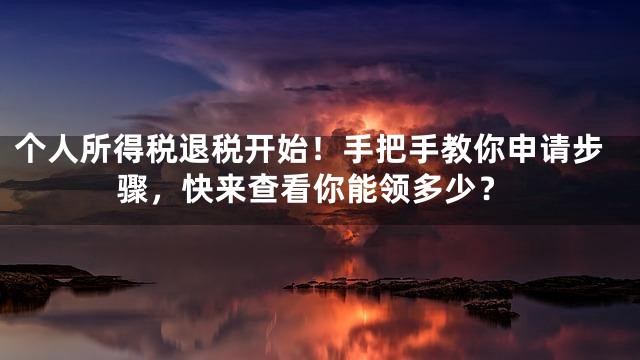 个人所得税退税开始！手把手教你申请步骤，快来查看你能领多少？