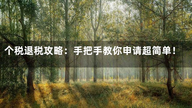 个税退税攻略：手把手教你申请超简单！