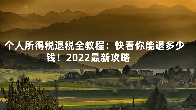 个人所得税退税全教程：快看你能退多少钱！2022最新攻略