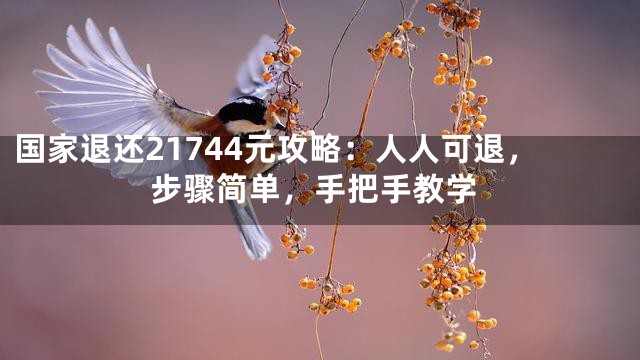 国家退还21744元攻略：人人可退，步骤简单，手把手教学