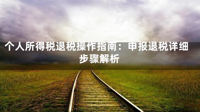 个人所得税退税操作指南：申报退税详细步骤解析
