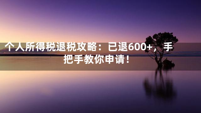 个人所得税退税攻略：已退600+，手把手教你申请！