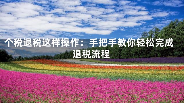 个税退税这样操作：手把手教你轻松完成退税流程