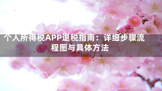 个人所得税APP退税指南：详细步骤流程图与具体方法