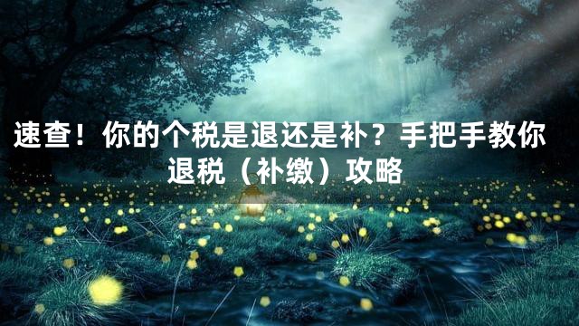 速查！你的个税是退还是补？手把手教你退税（补缴）攻略