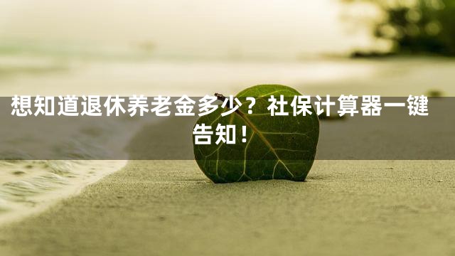 想知道退休养老金多少？社保计算器一键告知！