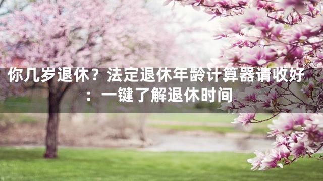 你几岁退休？法定退休年龄计算器请收好：一键了解退休时间