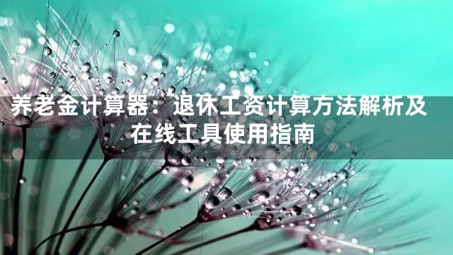 养老金计算器：退休工资计算方法解析及在线工具使用指南