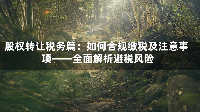 股权转让税务篇：如何合规缴税及注意事项——全面解析避税风险
