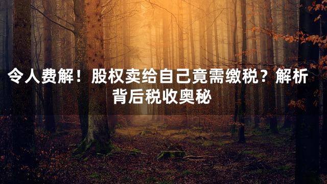 令人费解！股权卖给自己竟需缴税？解析背后税收奥秘