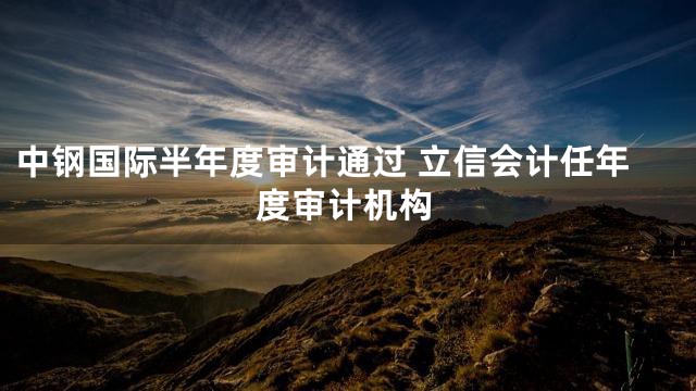中钢国际半年度审计通过 立信会计任年度审计机构