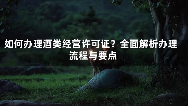 如何办理酒类经营许可证？全面解析办理流程与要点