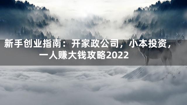 新手创业指南：开家政公司，小本投资，一人赚大钱攻略2022