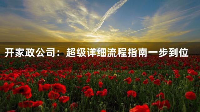开家政公司：超级详细流程指南一步到位