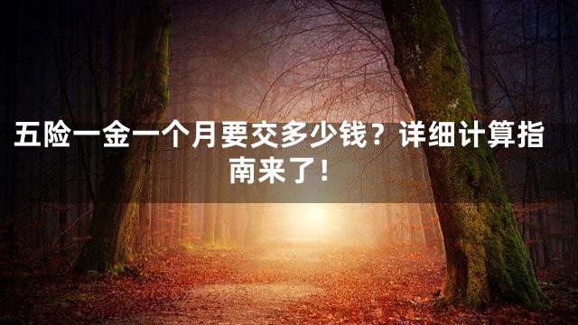 五险一金一个月要交多少钱？详细计算指南来了！