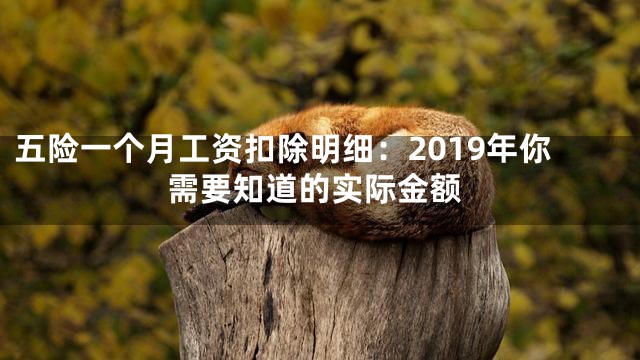 五险一个月工资扣除明细：2019年你需要知道的实际金额