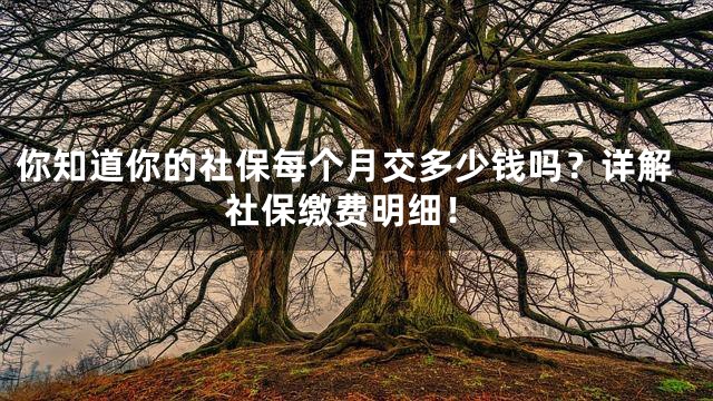 你知道你的社保每个月交多少钱吗？详解社保缴费明细！