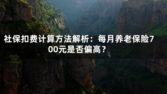 社保扣费计算方法解析：每月养老保险700元是否偏高？