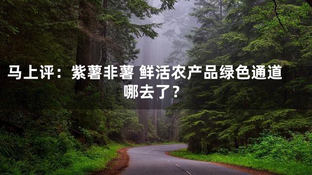 马上评：紫薯非薯 鲜活农产品绿色通道哪去了？