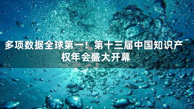 多项数据全球第一！第十三届中国知识产权年会盛大开幕