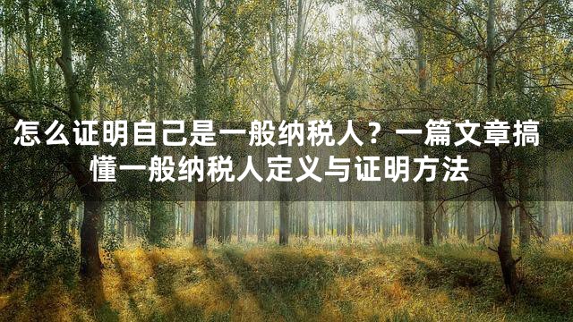 怎么证明自己是一般纳税人？一篇文章搞懂一般纳税人定义与证明方法